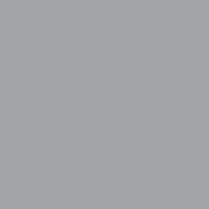 swatch warm pewter
